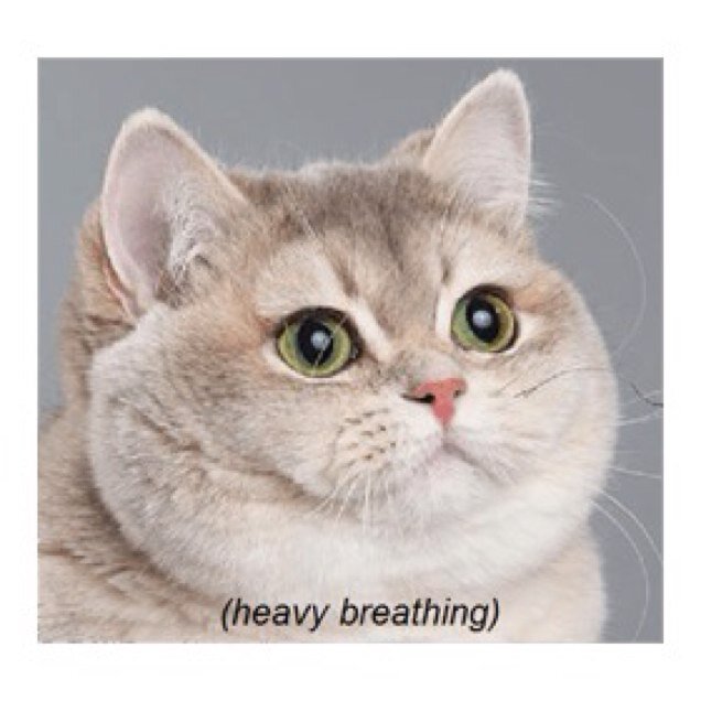 RumorTuesday's profile picture. Bringing you the latest rumors from region 9! Dm me the good stuff niggas!