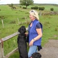 Angela Locke (@angelalockema) 's Twitter Profile