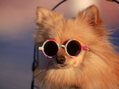 swagtothepeople Profile Picture