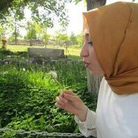 ayşegül çitil (@aysegulcitil) 's Twitter Profile