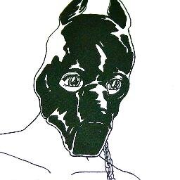 fahandra's profile picture. all angel