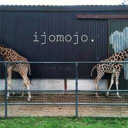 ijomojo's profile picture. Tweeting Ground for ijomojo. Type the name into Google, Youtube, Facebook, Soundcloud, we always turn up ;)
