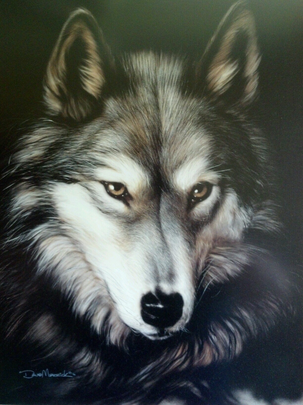 wolf71758 Profile Picture