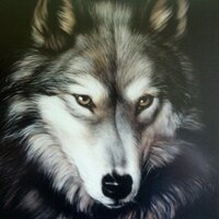 Bob Hydzik(@wolf71758) 's Twitter Profile Photo