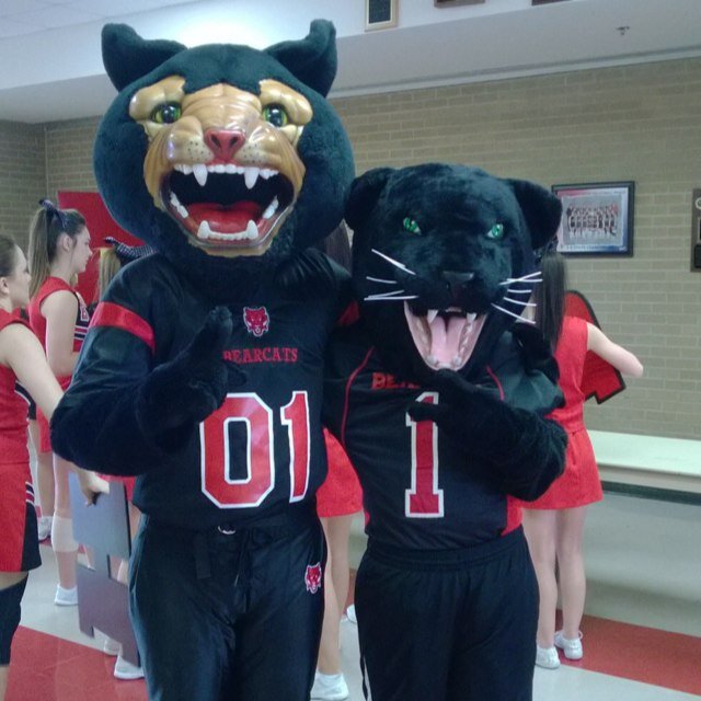 The original Brookland Bearcat Mascot! Just your average extra awesome Bearcat!