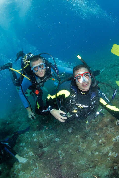 Cristalsub buceo.