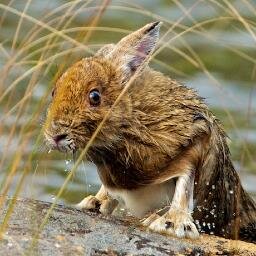 bpat1918's profile picture. Freelance television host and founder of Maisey Images, specializing in nature photography