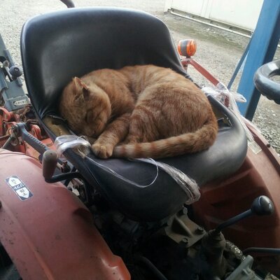 エロパーマ