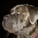 william hayter - @11whayter - Twitter