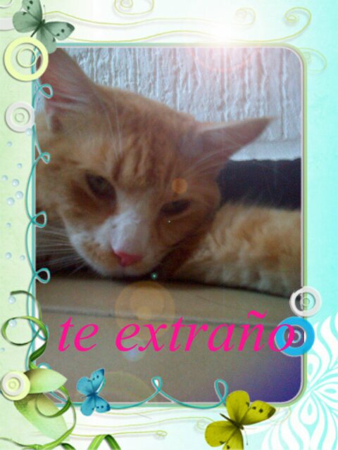 Soy yo misma sin importar lo q me digan