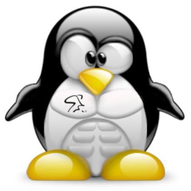 spinetd's profile picture. 