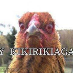 MOYSES1995's profile picture. 