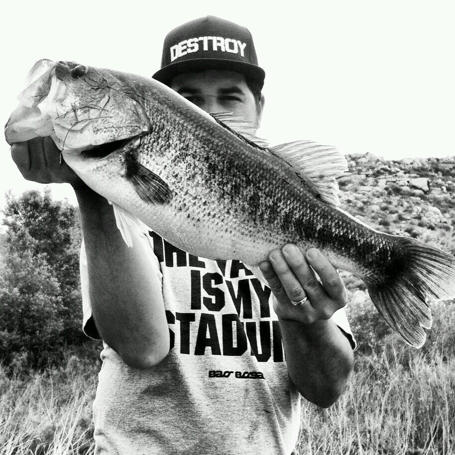 germstiffs's profile picture. 