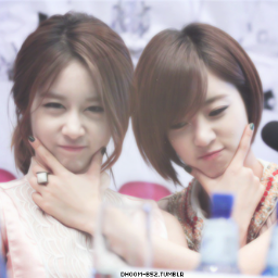 Member of T-Ara