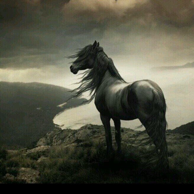 ‏ومازلت أحبك انت
