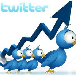 autofollower100 Profile Picture