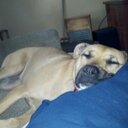 Terry Dunham - @coachtbone - Twitter