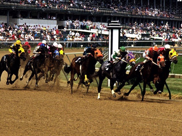 Horse racing fan, sports fanatic, father and hard working guy. GO OILERS!