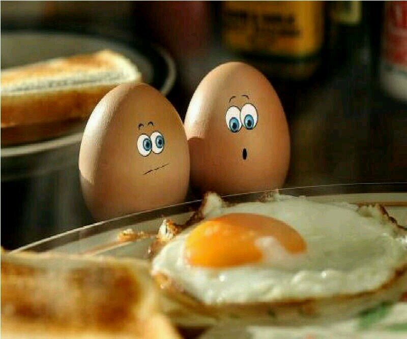 RandomFeitenn's profile picture. Volg ons voor RandomFeiten