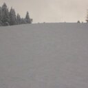 Marcus Rossi - @MarcusRoss12324 - Twitter