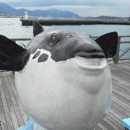 comdel2's profile picture. #sougofollow  #相互フォロー  #リフォロー　#follow #フォローバック