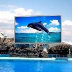 Digital LED Billboards Manufacturers, Single line Displays, LED Window Signs, Lobby Info Director