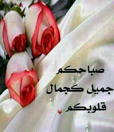 Mriyadh2020 Profile Picture