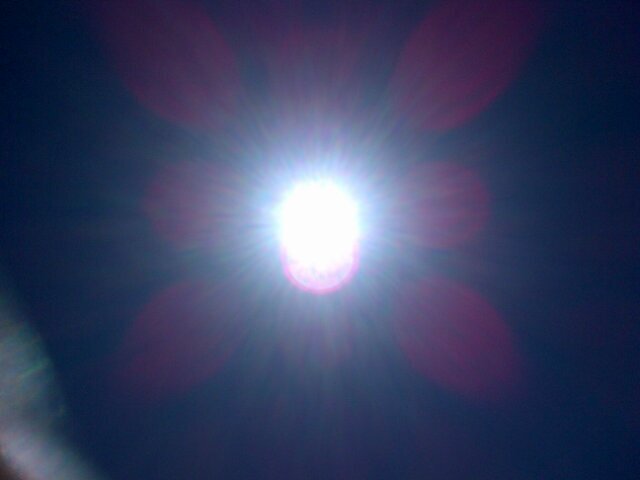 hansb1's profile picture. 