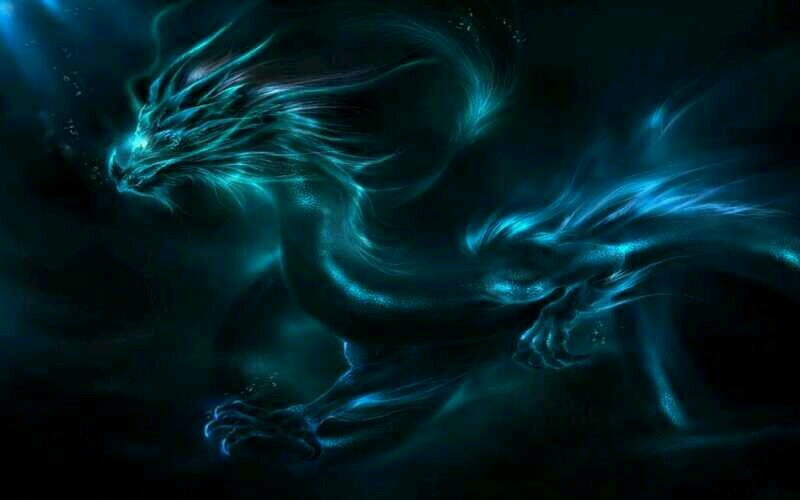 I love Transformers! Robot, I love Dragon!