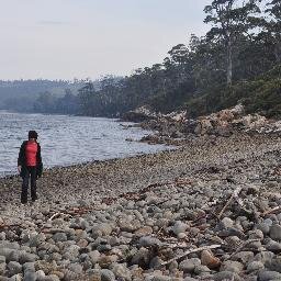 brayns66's profile picture. 