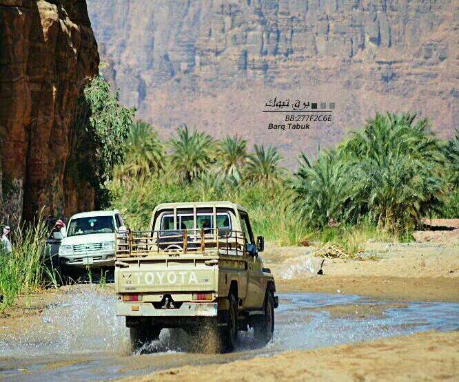 من عتب على الزمان   , و تتبع عثراث الإخوان   , قطعه صديقه و مله رفيقه ! ........................