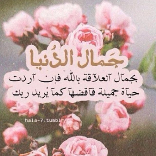 حساب صدقه جاريه للمرحومه بذن الله ام فلاح الصمعان - ربي اغفر لها وارحمها واسكنها فسيح جناتك / اللهم هون حسابها ولين ترابها وثقل بالحسنات ميزانها❤