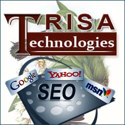 Trisa Technologies, #SEOServices #SMOServices