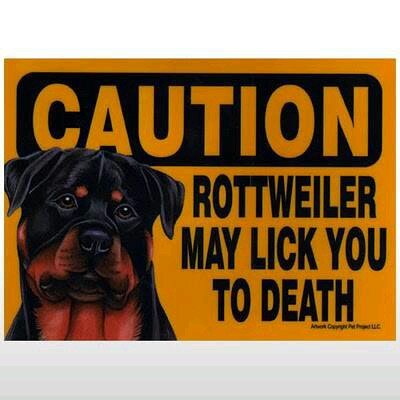 Blabetje's profile picture. 