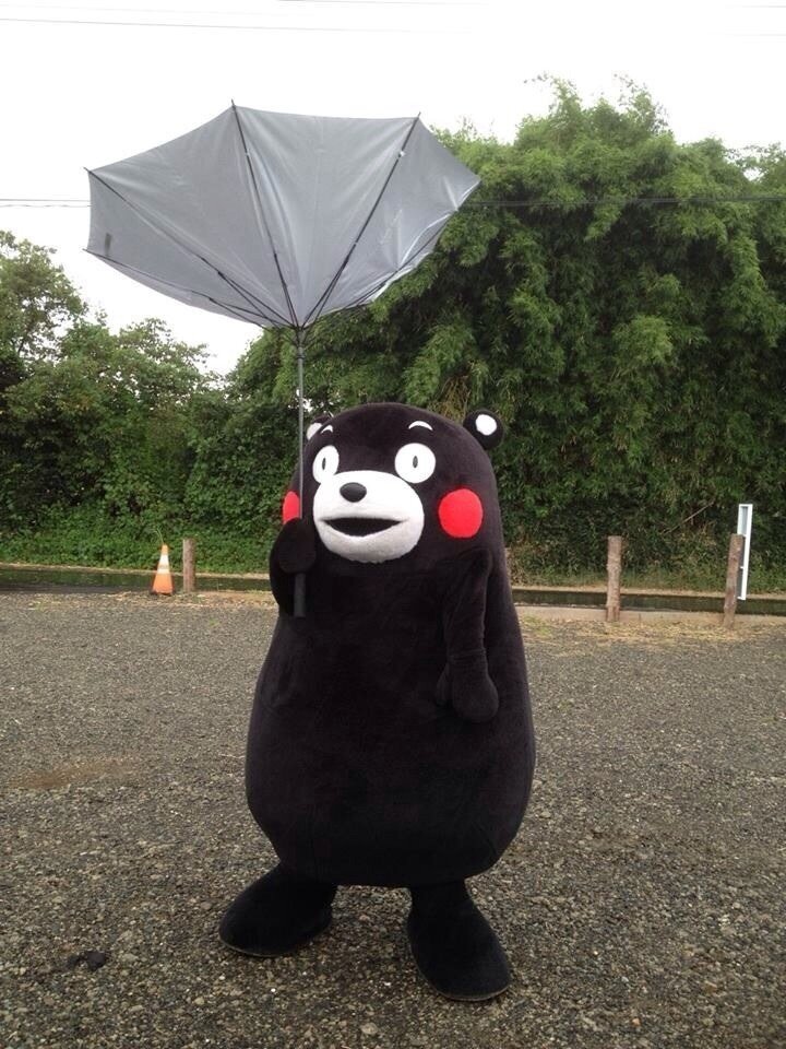 8likewawa's profile picture. 