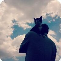 Otro Gato (@zarabandajose) 's Twitter Profile