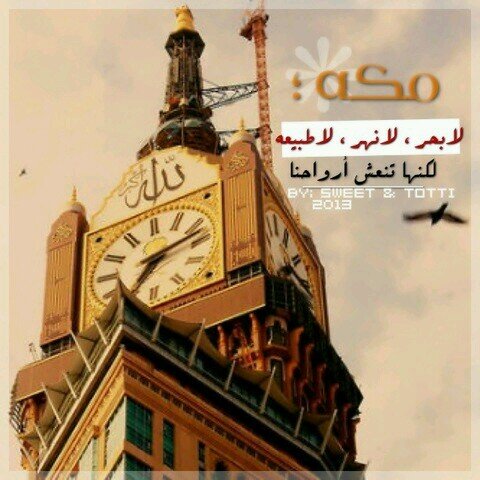 abood226691's profile picture. 