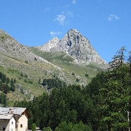 Ingénieur; domaine : risques nat et tech, gestion de crise, résilience, aménagement du territoire, politiques publiques, ...