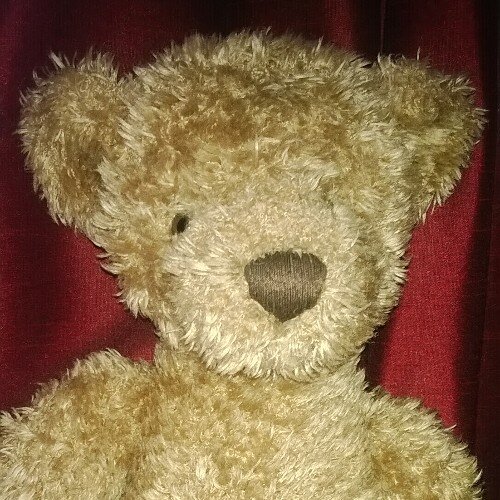 Y1christchurch's profile picture. 