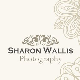 Newborn photographer, child and family portraiture