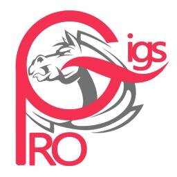 PROGigs - Affordable Store For Graphics, E-Books, PLR and MRR Products, Free Downloads And Making Money Online.