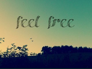 I tweet about everything i like ❤️ and I always follow back xx