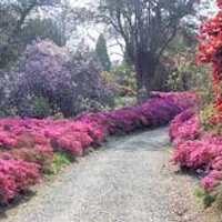 Mount Congreve (@mountcongreve_) 's Twitter Profile