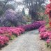 Mount Congreve (@mountcongreve_) Twitter profile photo Mount Congreve (@mountcongreve_) Twitter profile photo
