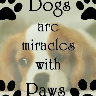 we help the paws, with you