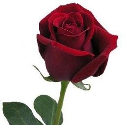 sandorbleu's profile picture. Poète et amateur d'âmes