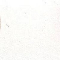 Kauê. (@nunesbacon) 's Twitter Profile