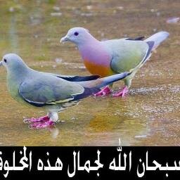 الي يتابعني اتابعه لايكثر