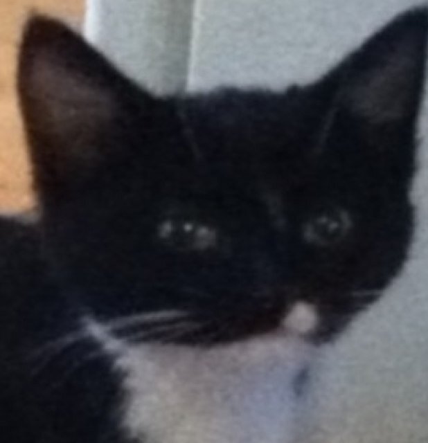 jenidu99's profile picture. Redefine what people think is possible.