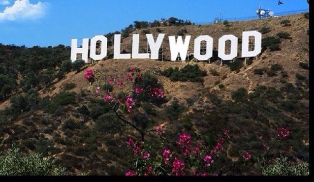 Re-opening of The Celebs. DM/tweet for a role. If you already have an account, tell me if you would like to keep your role.
